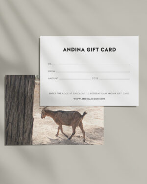 Physical Gift Card