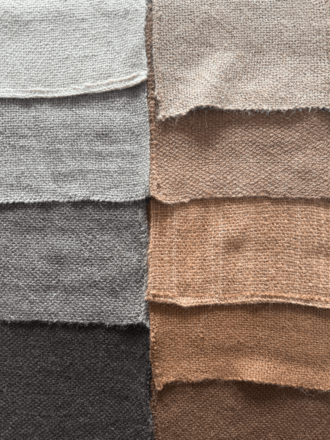 Set of ANDINA’s llama throw samples in undyed natural tones ranging from white and beige to gray and brown.